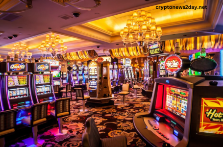 A Comprehensive Overview of Games and Features at Hawkplay Casino